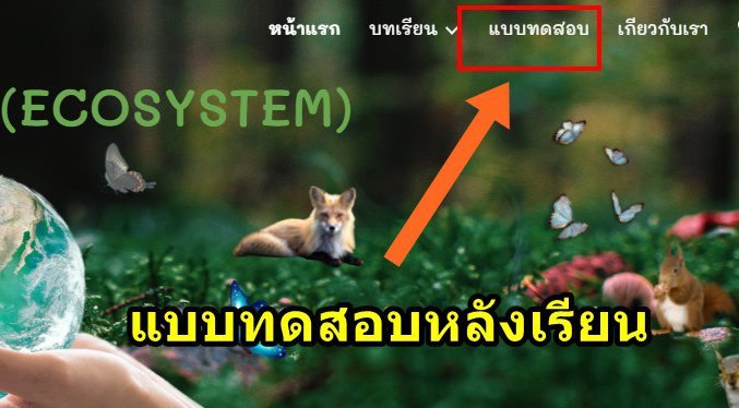 อบรมออนไลน์ระบบนิเวศ แบบทดสอบออนไลน์ และรับวุฒิบัตร เรื่อง ระบบนิเวศ Ecosystem เมื่อผ่านเกณฑ์ ร้อยละ 60 จะได้รับวุฒิบัตรผ่าน Email